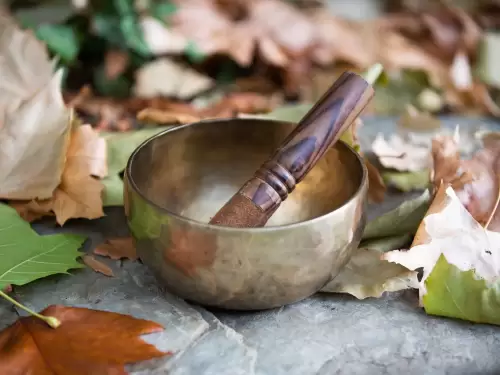 A workshop that beautifully combines the calming practices of Yin Yoga, Acupressure, Nidra, and the soothing sounds of Crystal Bowls.